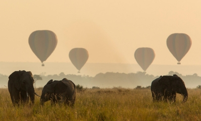 Tailor-Made Safaris